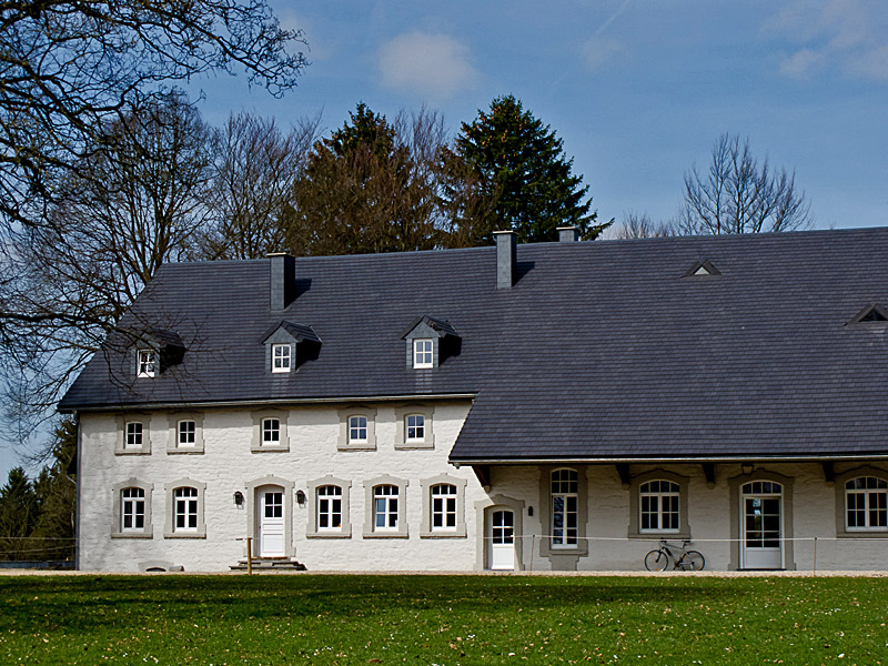 Zukunft der Vereine